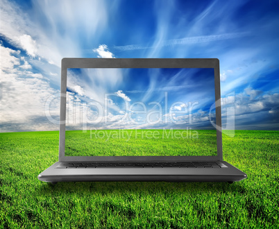 Green field and laptop