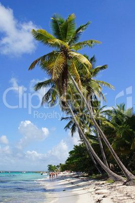 Karibischer Strand, Dominikanische Republik