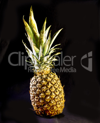 Ananas