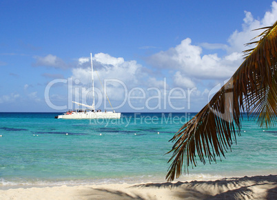 caribbean beach, dominican republic