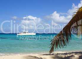 caribbean beach, dominican republic