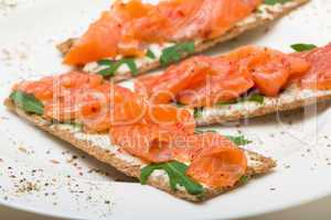 salted salmon on crispy bread with cheese and arugula