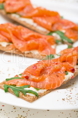 salted salmon on crispy bread with cheese and arugula