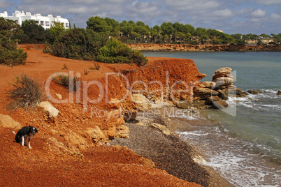 hundestrand von santa eulalia, ibiza