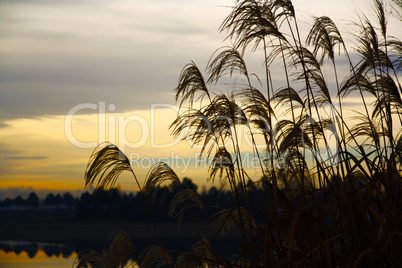 Abens am See