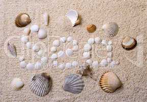 title "sea" from shells with coral sand