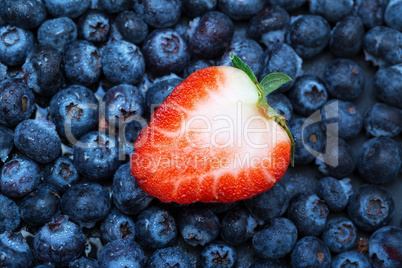 freshly picked blueberries with strawberry