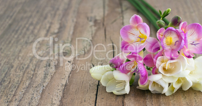 Freesias