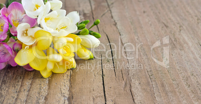 freesias