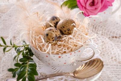 quail's eggs