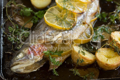 baked rainbow trout