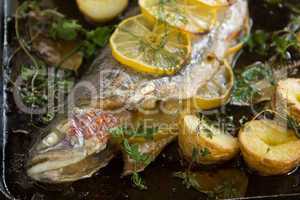 baked rainbow trout