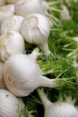 Knollen von Fenchel auf einem Markt