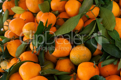 frische Mandarinen mit Blättern