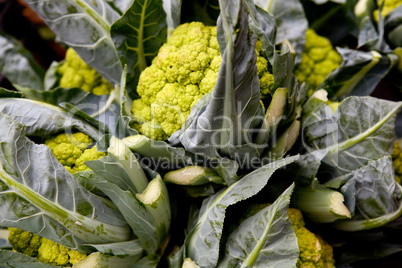 Frischer Blumenkohl auf einem Markt