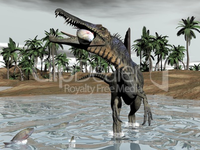 spinosaurus dinosaur eating fish - 3d render