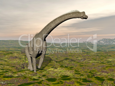 brachiosaurus dinosaur walking - 3d render