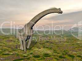 brachiosaurus dinosaur walking - 3d render