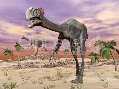 gigantoraptor dinosaurs in the desert - 3d render