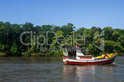 Boot auf dem Amazonas - Regenwald