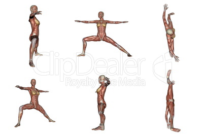 warrior yoga pose for woman with muscle visible