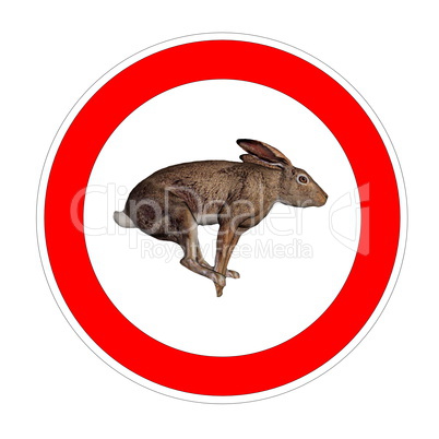 hare speed limit