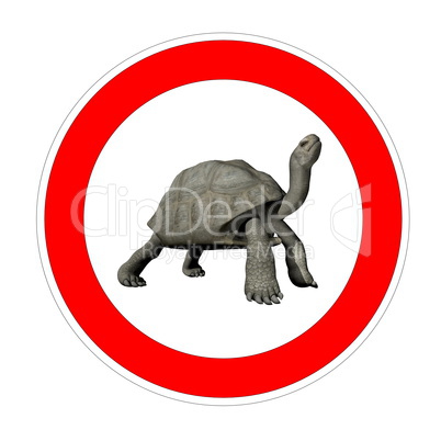 turtle speed limit