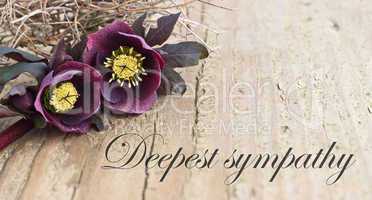 deepest sympathy