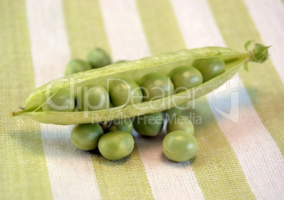 Fresh peas in their pods