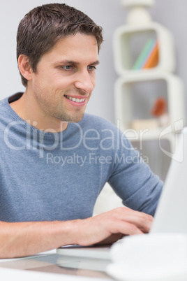 Smiling young man using laptop in living room