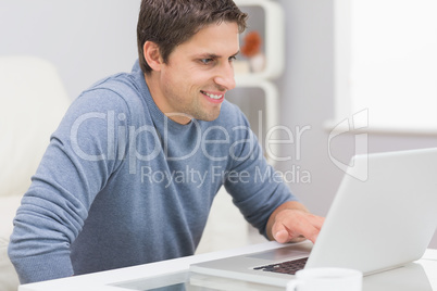 Smiling young man using laptop in living room