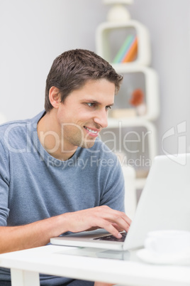 Smiling young man using laptop in living room