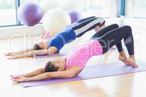 Two sporty women stretching body at yoga class