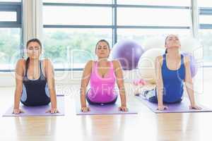 Three women doing the cobra pose in fitness studio
