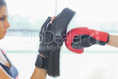 Close-up of determined female boxer focused on her training