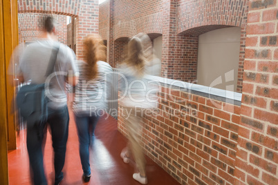 Students walking in the hall together
