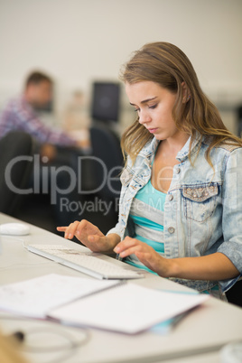 Focused pretty student working in the computer room