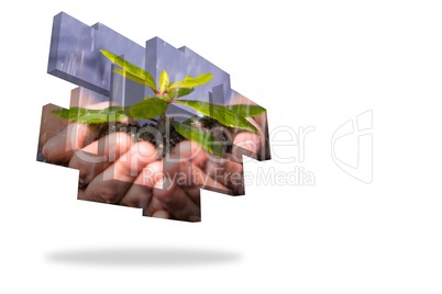 Hands holding shrub on abstract screen