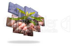 Hands holding shrub on abstract screen