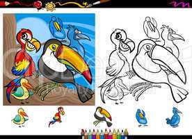 exotic birds cartoon coloring page set