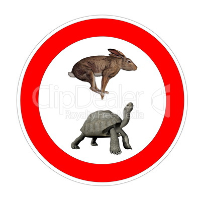 turtle and hare speed limit