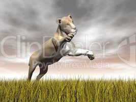 lioness hunting - 3d render
