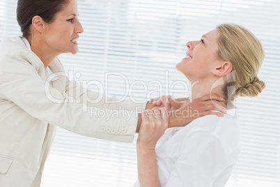 Businesswomen having a violent fight in office