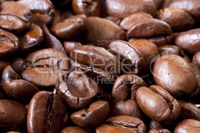 makroaufnahme von kaffeebohnen