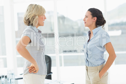 Side view of two businesswomen fighting