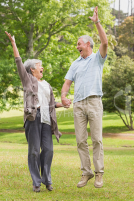 Active senior couple holding hands and jumping in park