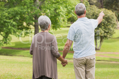 Rear view of a senior couple holding hands at park