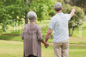 Rear view of a senior couple holding hands at park