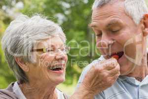Senior woman feeding strawberry to man