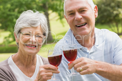 Portrait of senior couple toasting wine glasses at park